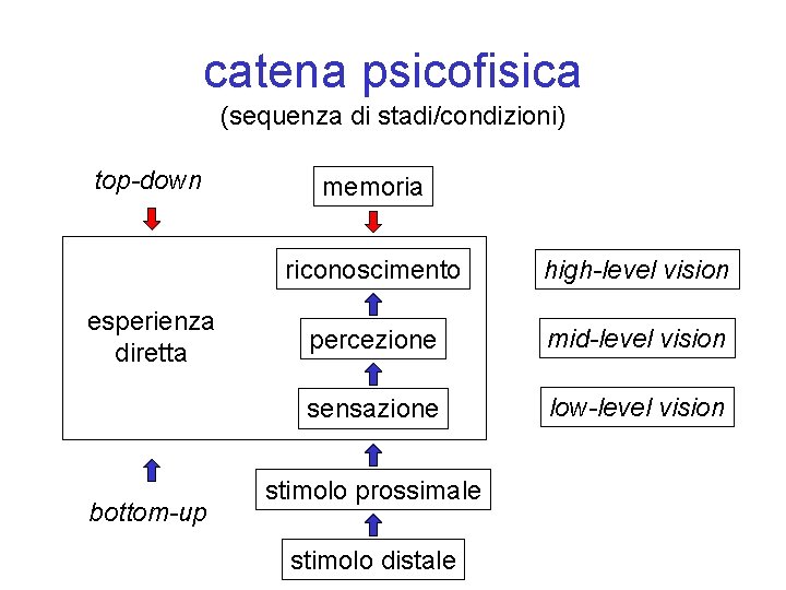 catena psicofisica (sequenza di stadi/condizioni) top-down esperienza diretta bottom-up memoria riconoscimento high-level vision percezione catena psicofisica (sequenza di stadi/condizioni) top-down esperienza diretta bottom-up memoria riconoscimento high-level vision percezione