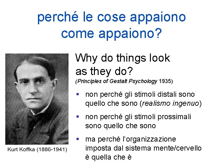 perché le cose appaiono come appaiono? Why do things look as they do? (Principles