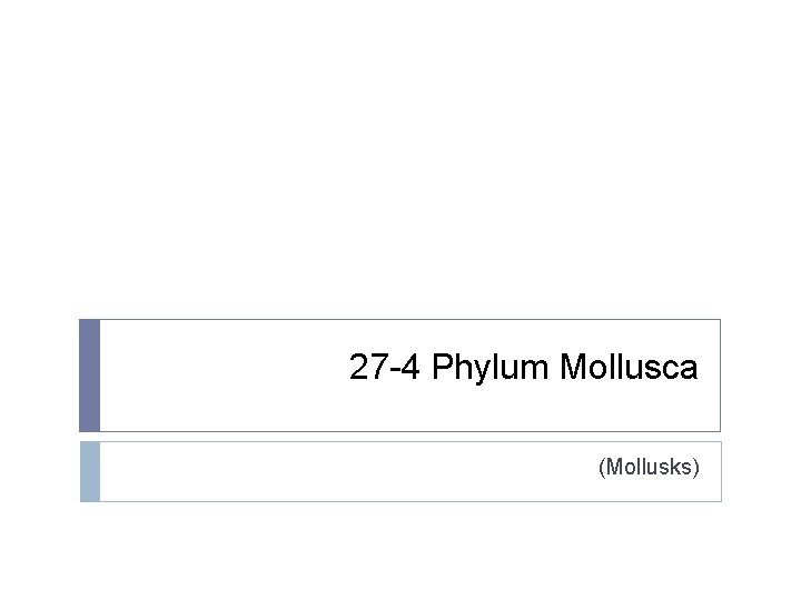 27 -4 Phylum Mollusca (Mollusks) 