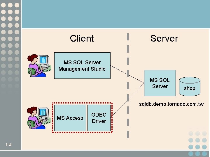 Client Server MS SQL Server Management Studio MS SQL Server shop sqldb. demo. tornado.