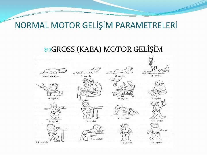 NORMAL MOTOR GELİŞİM PARAMETRELERİ GROSS (KABA) MOTOR GELİŞİM 