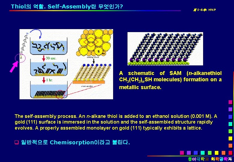 Thiol의 역할. Self-Assembly란 무엇인가? 제 5 -6주: MNP A schematic of SAM (n-alkanethiol CH