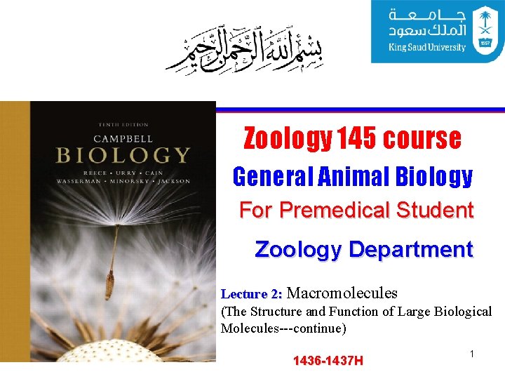 Zoology 145 course General Animal Biology For Premedical Student Zoology Department Lecture 2: Macromolecules