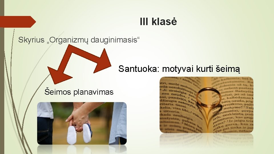 III klasė Skyrius „Organizmų dauginimasis“ Santuoka: motyvai kurti šeimą Šeimos planavimas 