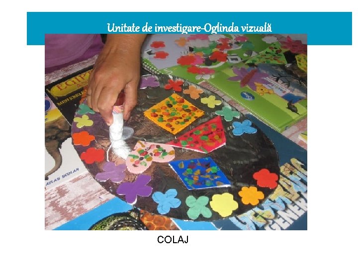 Unitate de investigare-Oglinda vizuală COLAJ 