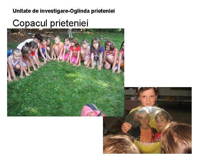 Unitate de investigare-Oglinda prieteniei Copacul prieteniei 