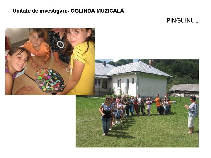 Unitate de investigare- OGLINDA MUZICALĂ PINGUINUL 