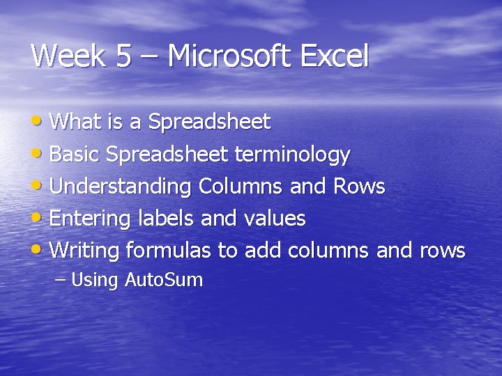 Week 5 – Microsoft Excel • What is a Spreadsheet • Basic Spreadsheet terminology