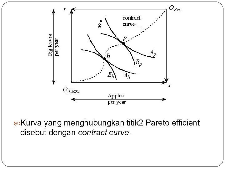  Kurva yang menghubungkan titik 2 Pareto efficient disebut dengan contract curve. 