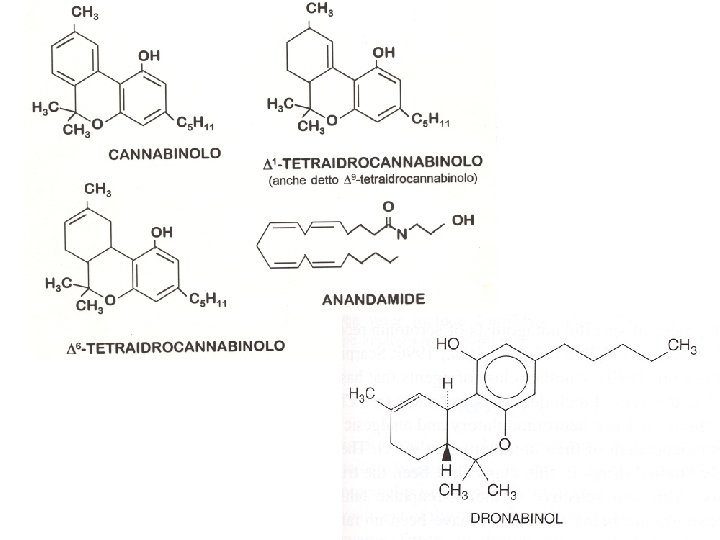 AGONISTI DEL RECETTORE CANNABICO CB 1 