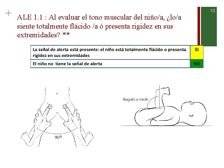 + ALE 1. 1 : Al evaluar el tono muscular del niño/a, ¿lo/a siente