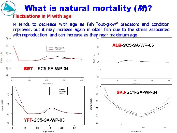 What is natural mortality (M)? Fluctuations in M with age M tends to decrease What is natural mortality (M)? Fluctuations in M with age M tends to decrease