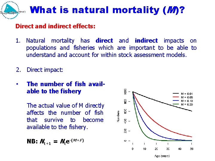 What is natural mortality (M)? Direct and indirect effects: 1. Natural mortality has direct What is natural mortality (M)? Direct and indirect effects: 1. Natural mortality has direct