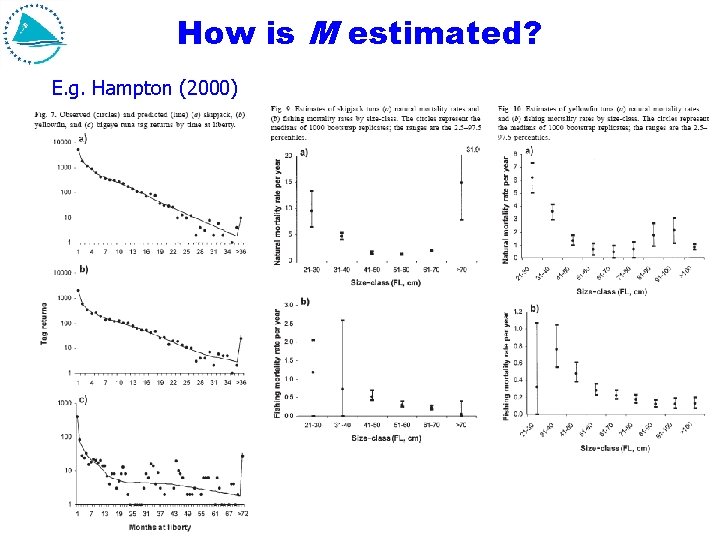 How is M estimated? E. g. Hampton (2000) How is M estimated? E. g. Hampton (2000)