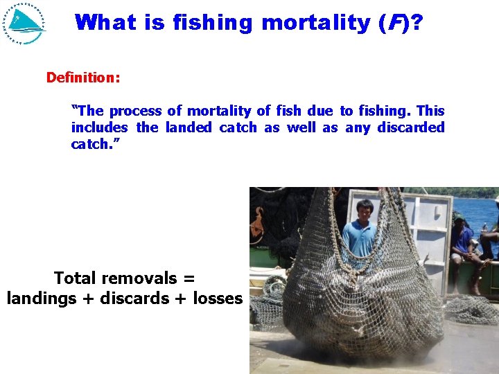What is fishing mortality (F)? Definition: “The process of mortality of fish due to What is fishing mortality (F)? Definition: “The process of mortality of fish due to