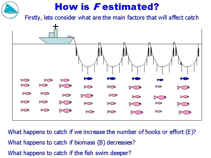 How is F estimated? Firstly, lets consider what are the main factors that will How is F estimated? Firstly, lets consider what are the main factors that will