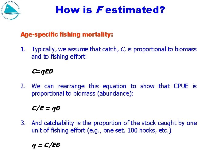 How is F estimated? Age-specific fishing mortality: 1. Typically, we assume that catch, C, How is F estimated? Age-specific fishing mortality: 1. Typically, we assume that catch, C,