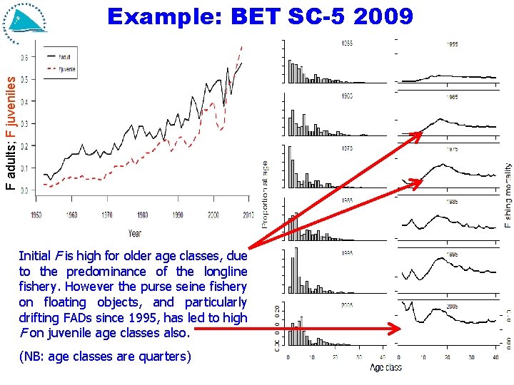 F adults; F juveniles Example: BET SC-5 2009 Initial F is high for older F adults; F juveniles Example: BET SC-5 2009 Initial F is high for older