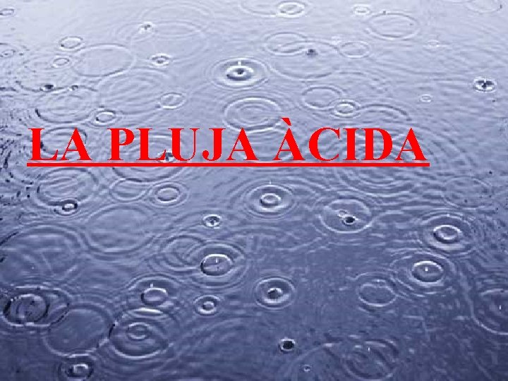 LA PLUJA ÀCIDA 