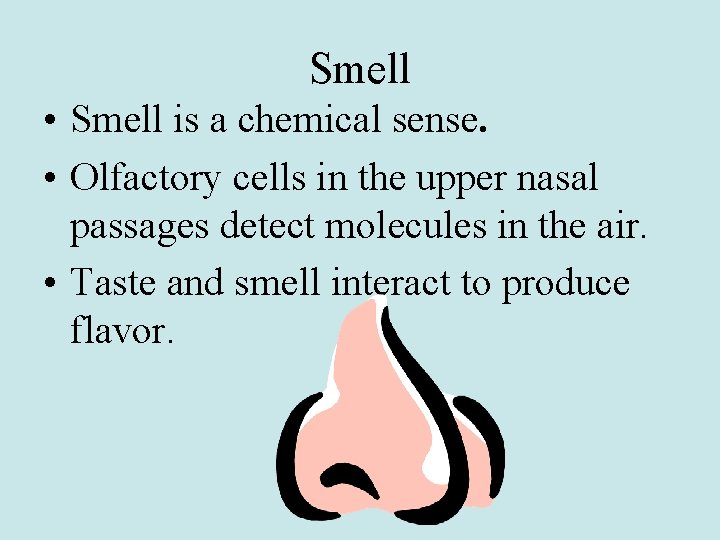Smell • Smell is a chemical sense. • Olfactory cells in the upper nasal