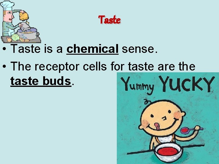 Taste • Taste is a chemical sense. • The receptor cells for taste are