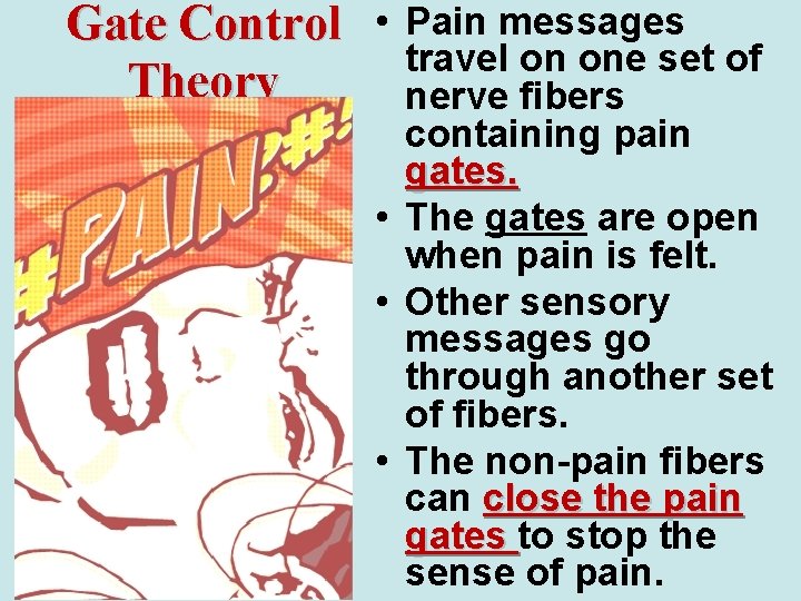 Gate Control • Theory Pain messages travel on one set of nerve fibers containing