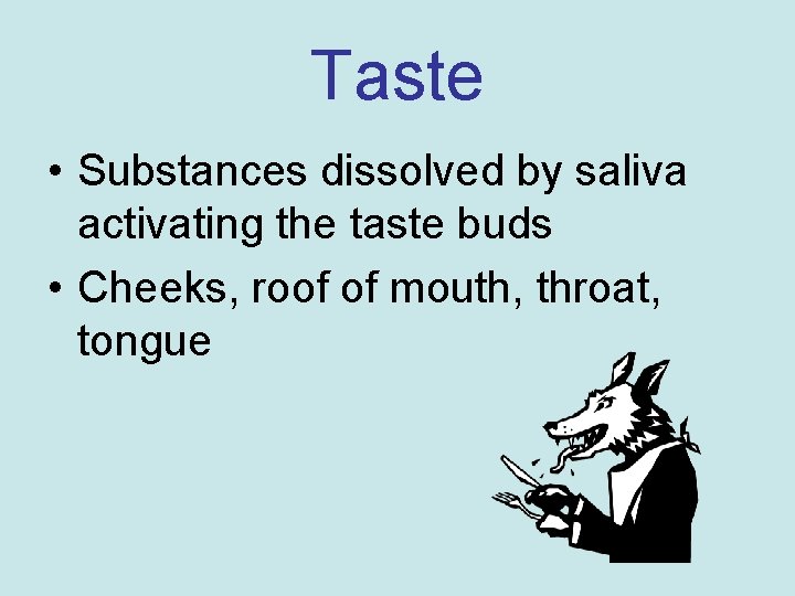 Taste • Substances dissolved by saliva activating the taste buds • Cheeks, roof of