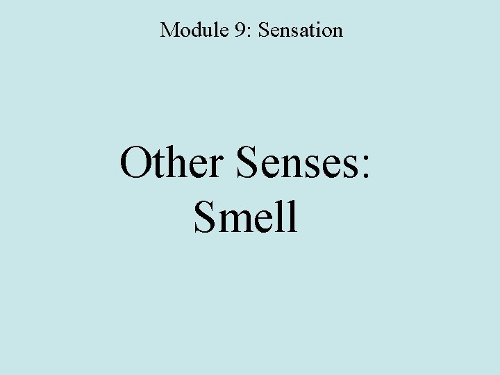 Module 9: Sensation Other Senses: Smell 