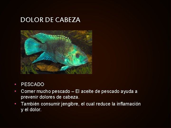 DOLOR DE CABEZA • PESCADO • Comer mucho pescado – El aceite de pescado
