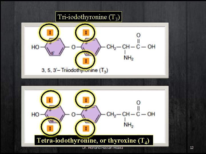 Tri-iodothyronine (T 3) Tetra-iodothyronine, or thyroxine (T 4) Dr. Mohand Hassan Moalla 12 