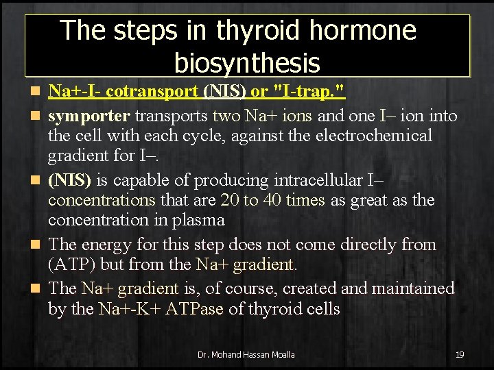 The steps in thyroid hormone biosynthesis n n n Na+-I- cotransport (NIS) or "I-trap.