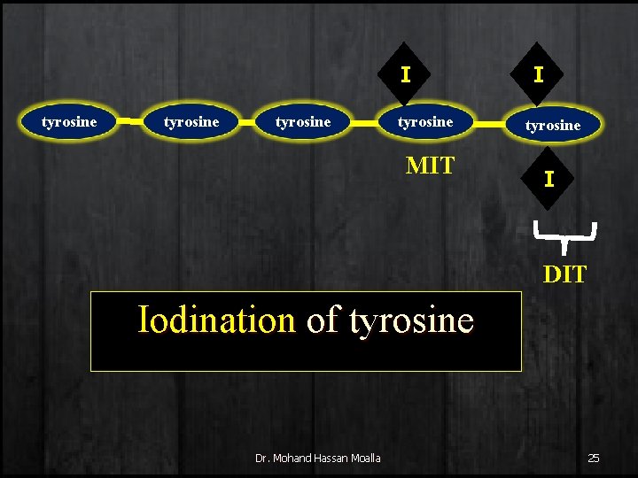 I tyrosine MIT I tyrosine I DIT Iodination of tyrosine Dr. Mohand Hassan Moalla