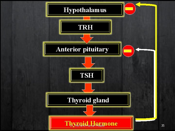 Hypothalamus TRH Anterior pituitary TSH Thyroid gland Thyroid Hormone Dr. Mohand Hassan Moalla 35