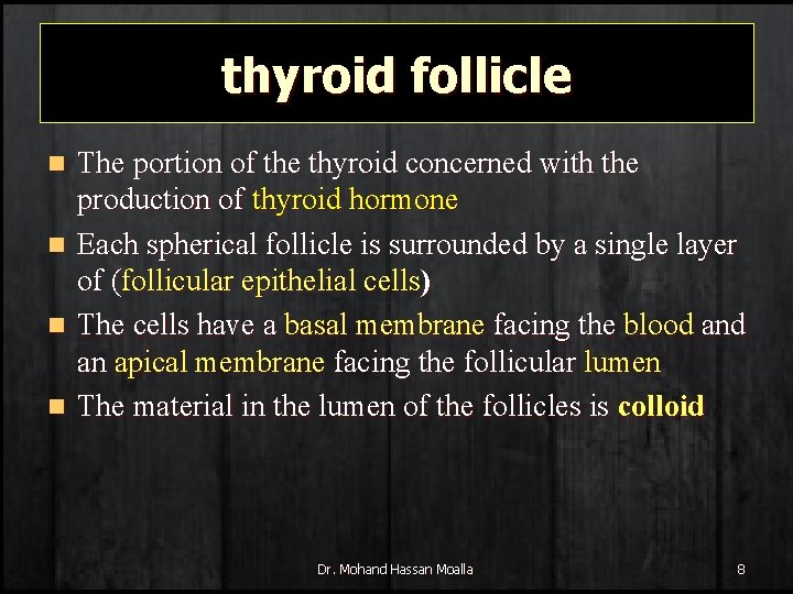 thyroid follicle The portion of the thyroid concerned with the production of thyroid hormone