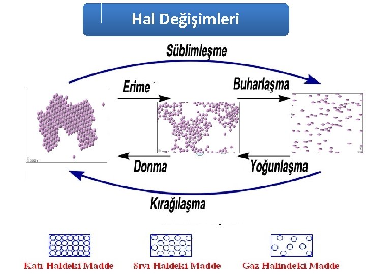 Hal Değişimleri 