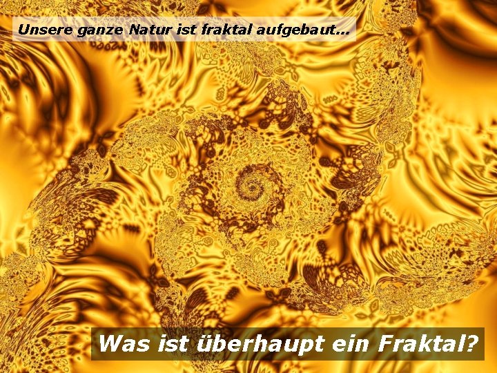 Unsere ganze Natur ist fraktal aufgebaut. . . Was ist überhaupt ein Fraktal? 