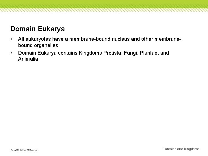 Domain Eukarya • • All eukaryotes have a membrane-bound nucleus and other membranebound organelles.