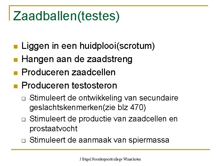 Zaadballen(testes) n n Liggen in een huidplooi(scrotum) Hangen aan de zaadstreng Produceren zaadcellen Produceren