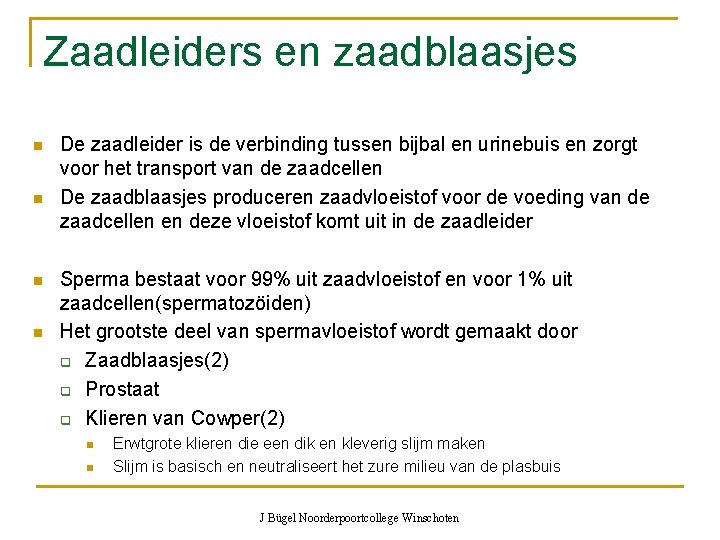 Zaadleiders en zaadblaasjes n n De zaadleider is de verbinding tussen bijbal en urinebuis