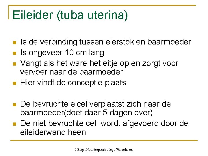 Eileider (tuba uterina) n n n Is de verbinding tussen eierstok en baarmoeder Is