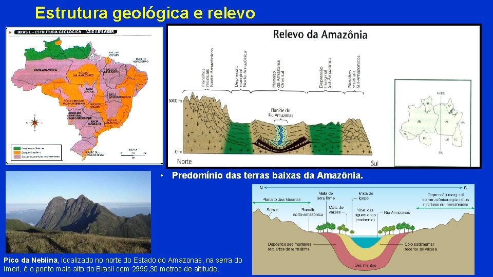 Estrutura geológica e relevo • Predomínio das terras baixas da Amazônia. Pico da Neblina,