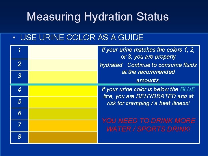 Measuring Hydration Status • USE URINE COLOR AS A GUIDE 1 2 3 4 Measuring Hydration Status • USE URINE COLOR AS A GUIDE 1 2 3 4