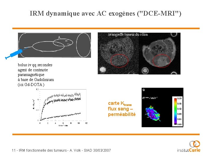 IRM dynamique avec AC exogènes ("DCE-MRI") xénogreffe tumeur du côlon bolus iv qq secondes