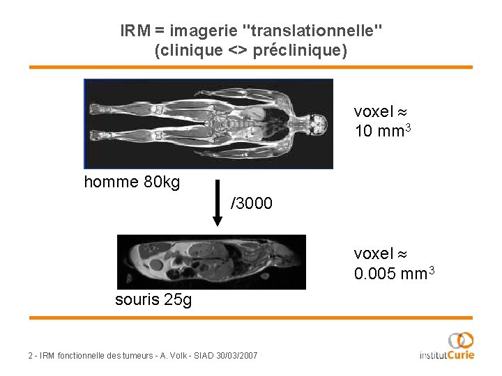 IRM = imagerie "translationnelle" (clinique <> préclinique) voxel 10 mm 3 homme 80 kg