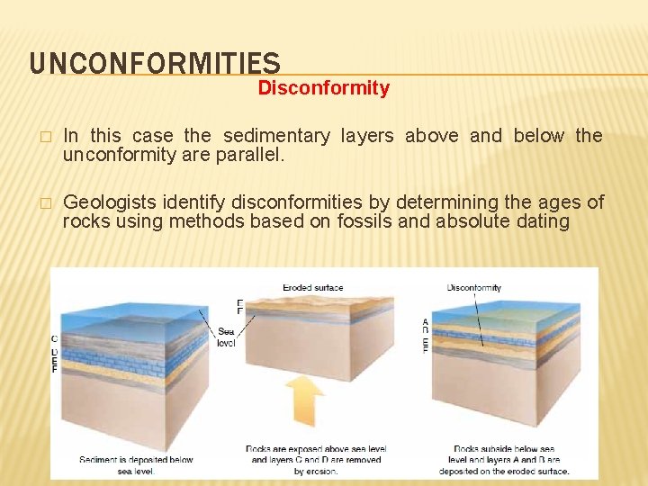 UNCONFORMITIES Disconformity � In this case the sedimentary layers above and below the unconformity