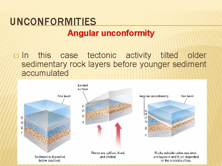 UNCONFORMITIES Angular unconformity � In this case tectonic activity tilted older sedimentary rock layers
