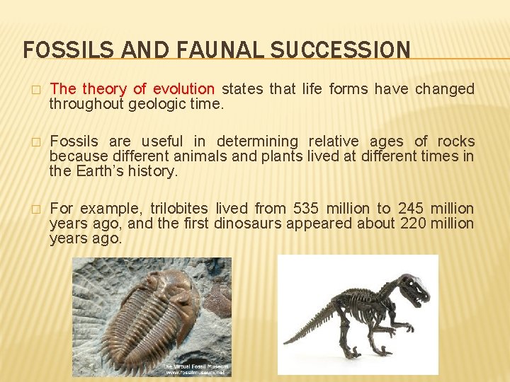 FOSSILS AND FAUNAL SUCCESSION � The theory of evolution states that life forms have