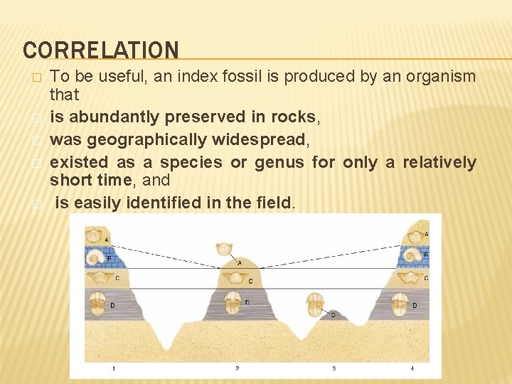 CORRELATION � � � To be useful, an index fossil is produced by an