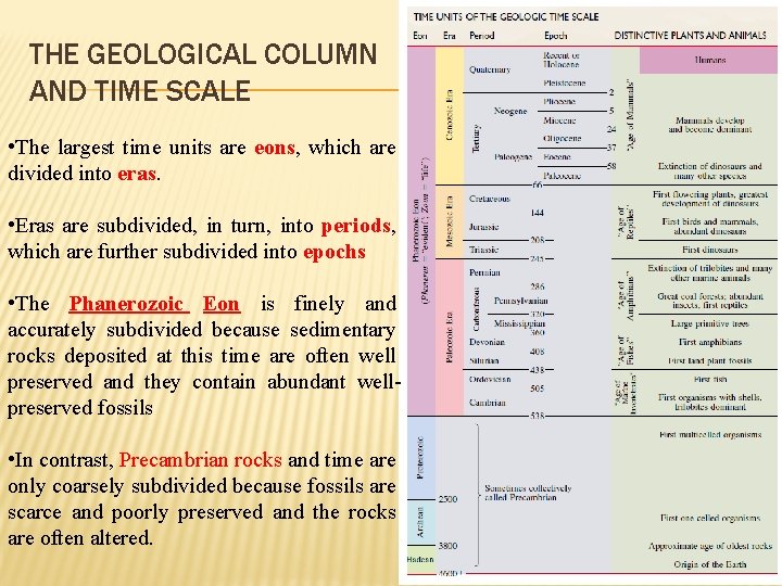 THE GEOLOGICAL COLUMN AND TIME SCALE • The largest time units are eons, which