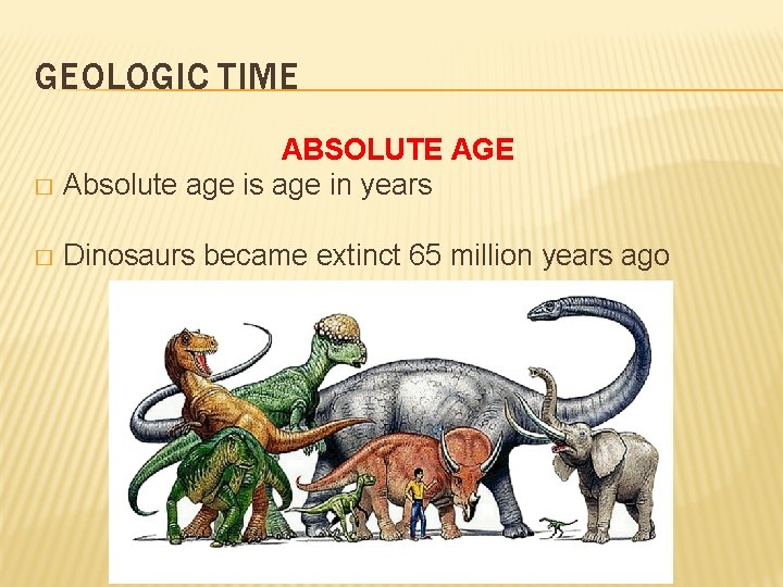 GEOLOGIC TIME ABSOLUTE AGE � Absolute age is age in years � Dinosaurs became